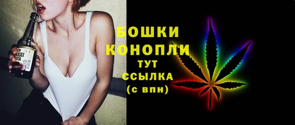 стаф Абаза
