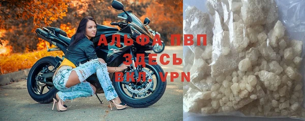 стаф Абаза
