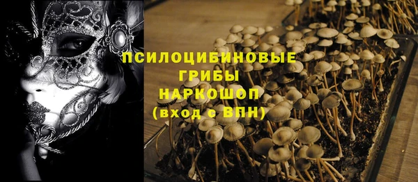 стаф Абаза