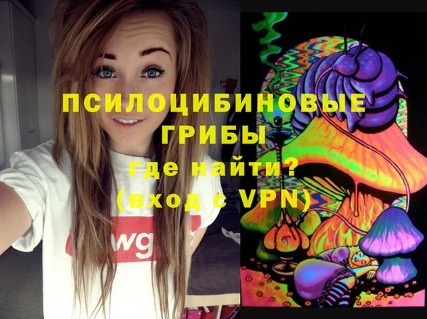 амф Абинск