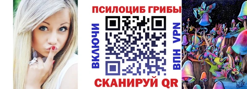 купить наркоту Тутаев Галлюциногенные грибы GOLDEN TEACHER