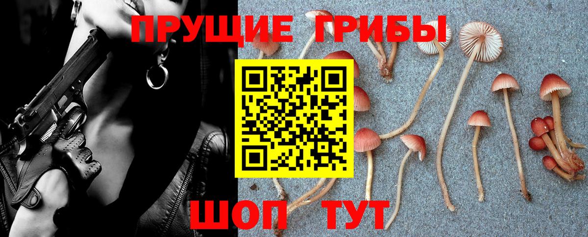 Галлюциногенные грибы ЛСД Тутаев